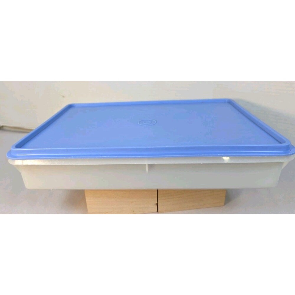 Vintage Tupperware 9 X 13 X 3 Snack & Store Sheer/ Blue Lid 290-2